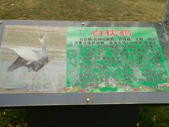 -武清南湖绿博园