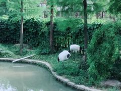 -上方山森林动物世界