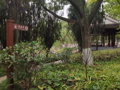 -瀛洲公园
