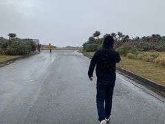 -鹅銮鼻公园