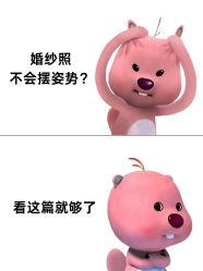 -时光印记婚纱摄影工作室·原创定制