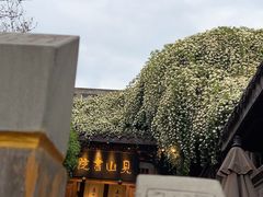 -见山书院