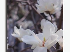 -常熟路(地铁站)