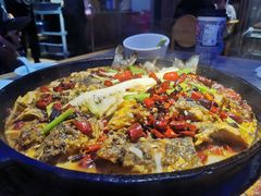 老板恋上鱼-老板恋上鱼(恒隆广场店)