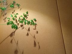 -星巴克(湖州梅地亚广场店)