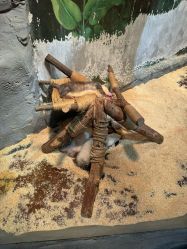 -Zoolung Zoolung动物主题公园(海信广场店)