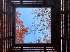 -春晖园度假酒店温泉