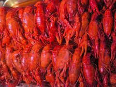 -虾大侠·盱眙龙虾老北京铜锅涮羊肉(金楠天街店)