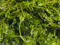 -龍歌自助小火锅(秦淮水游城店)