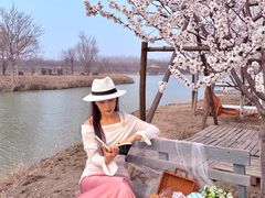 -西青郊野公园
