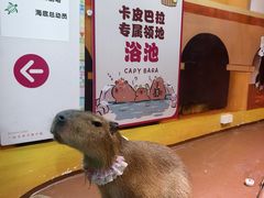 -顺德南宏海立方海洋公园