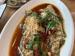 -渔码头食府(蓬莱阁店)