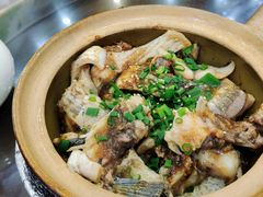 -红星光发煲仔饭(文海店)