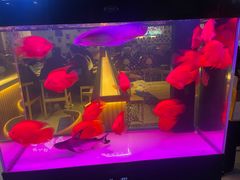 -叒缘夜光杯(望江橡树林店)