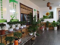 -呼吸森林·生态农庄农家乐私房菜