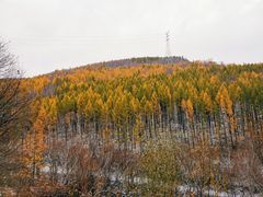 -塞罕坝国家级自然保护区