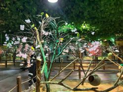 -酷嗒动物文化乐园(cutezoo西溪乐天城店)