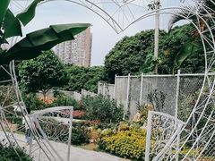 -青青世界