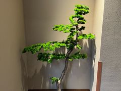 -萧记三鲜烩面(郑汴路店)