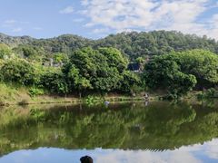 -广州市帽峰山景区