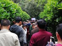 -韶山毛泽东同志故居