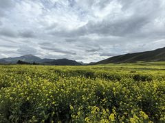 -扁都口生态休闲旅游区