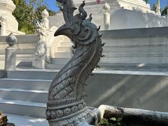 -西双版纳傣族园