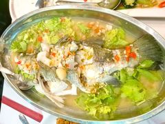 -光海鲜鱼翅餐厅(叻差拉披色路店)