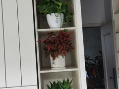 -陈记锅盖面(长江路店)