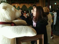 -济州岛泰迪熊博物馆