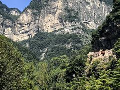 -王莽岭风景区