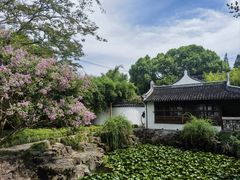 -上海醉白池公园