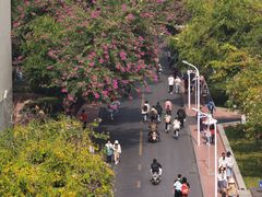 -广西大学(大学东路校区)