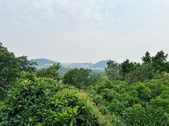 -云龙山