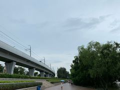 -宝安西湾红树林湿地公园