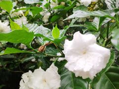 -北海市海滨公园