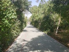 -水磨沟公园