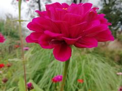 -白鹭湾湿地公园