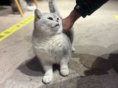 -木沐影咖(鑫乐汇购物广场店)