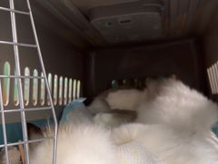 -联合动物医院(光谷诊疗中心)