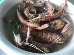 盐水赖尿虾-淇沙湾渔村餐厅