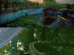 -无锡动物园·太湖欢乐园