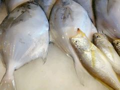 -合家小菜餐馆(新诚花苑店)