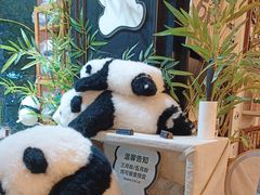 -轩客会(熊猫书店)