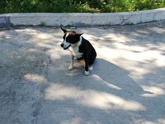 -北极村旅游风景区