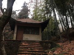 -马克咖啡The Moganshan Lodge