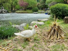 -中关村生命科学园