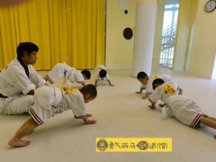 -勇气斑马·巴西柔术&跆拳道(浦东三林店)