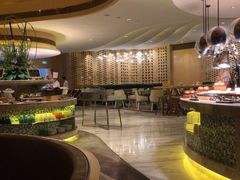 -苏州金鸡湖文博诺富特酒店