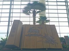 -郑州新郑国际机场